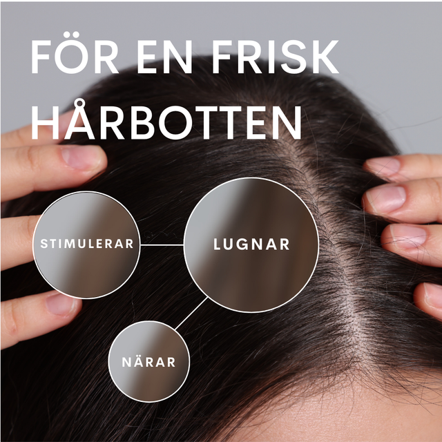 Rosmarin Hår- & Hårbottensolja